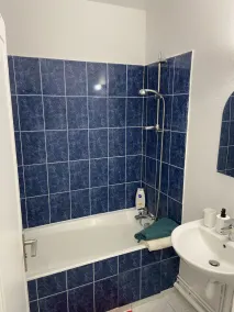 Bel Appartement Spacieux, Lumineux Avec Parking - Image 4