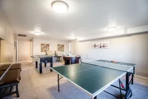 Grands groupes, Piscine privée, Bain à remous, Salle de jeux + salle de jeu, Salle secrète, Billard - Image 2