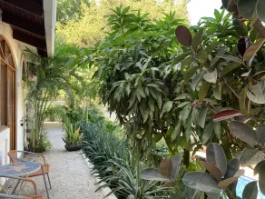 Hotel Flores - Adults Only - Image 3