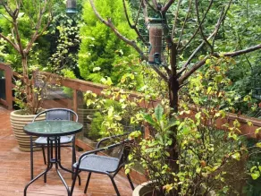 Private Couples hideaway with hot tub - Image 5
