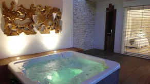 Villa with private pool and spa - Image 2