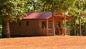 PET VENNLIGT 🐾<br>Swan Bay Cabins & RV Park Hytte # (1) Paris Tn, Kentucky Lake - Image 5