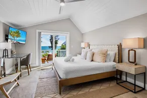 Coconut Palm Paradise - Image 4