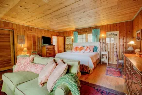 Good Woods~Okemo~Killington~Dogs~HotTub~Fireplace - Image 5