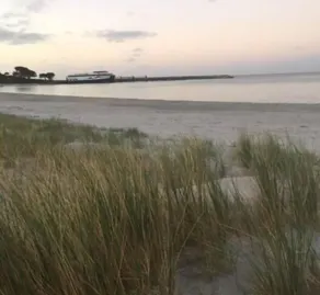 Cape View Cottage - beachside - Image 3