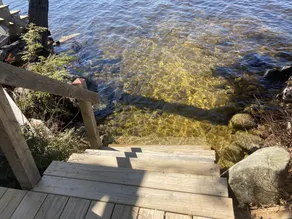 Welcome to our Waterfront Cabin in Northern, Maine. A great place to relax!! - Image 2