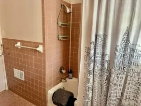 Beautiful Updated Historic 3BD/2BTH Home - Image 4