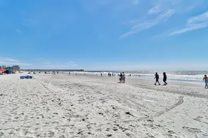 Condos at Sandy Beach by Beach Trips  - Image 4