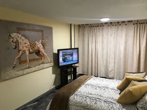 Entire Apartment Zona Rosa - Image 2