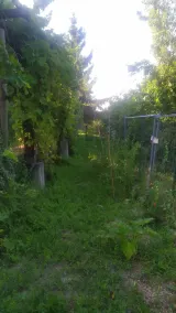 B&B Naturin - Nature, Wine, Pool and Relax - Image 5