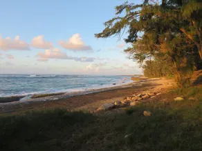 SPECIAL $ 715 / nt. Luksus 3-Bed Ocean Villa ved Turtle Bay. 30. juni - 3. juli 19 - Image 4