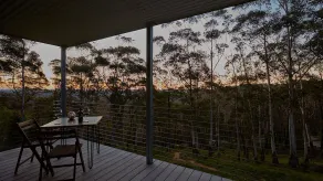 Tree Tops - Image 5