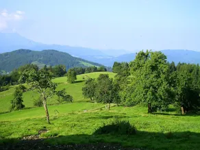 DZ 5 - Farm Moadl - Image 5