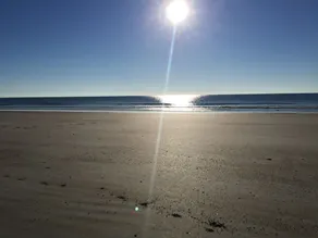Unglaubliche Anmut - am Strand! - Image 4