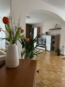Ferienwohnung Roter Stein - Ferienwohnung 80qm mit Terasse - Image 2