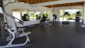 Ocho Rios Villa at the Palms V - Image 2