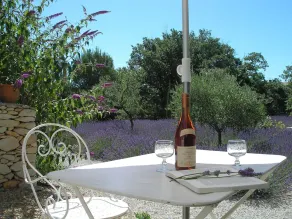 Luksus dobbelt- eller dobbeltværelse Glycin-terrasse-Le clos des lavandes - Image 4