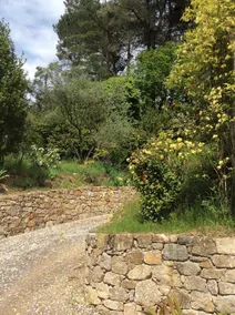 Pleine campagne, rez de jardin sur grand terrain, avec terrasse et vue dominante - Image 1