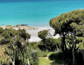 DRIFTWOOD BAY of FEESES - Image 5