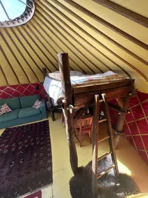 Cai Yurt bespoke yurt with Outdoor Shower - Image 5