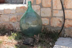 Jeg Trulli di Zizì: Ancient Trulli i Valle D'Itria - Image 2