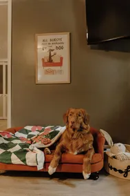 Greenville Getaway- Paws & Pines: pet- focused stay with HOT TUB & GAME ROOM - Image 3