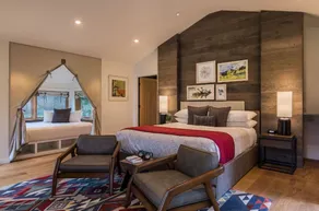 Luxury Tree House into the Heart of Washington - Image 5