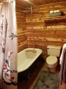 Alpaca Farm Stay - Image 3