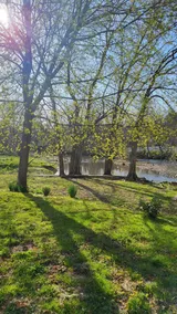 Charming riverside home - Image 5