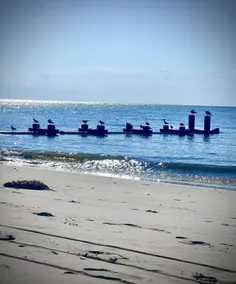 Pet friendly home located just 5 houses from the Delaware Bay - Image 5