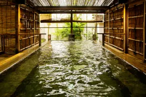 Tokiwa - Image 4