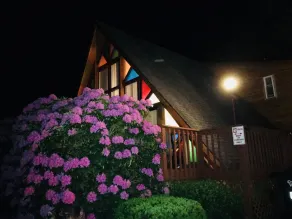 OneOfAKind cabin steps from lake and few miles from ski resort. U will love it! - Image 5