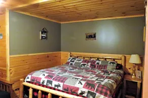 Pet friendly, hot tub, cabin - Image 3