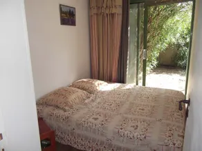 House / Villa - Saint-Rémy de Provence - Image 3
