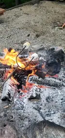 Buffalo Lake Cabin I Private Beach l Detroit Lakes l Pet Friendly - Image 3