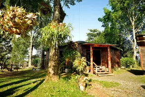 The Round cottage located in  rural Filandia. - Image 4