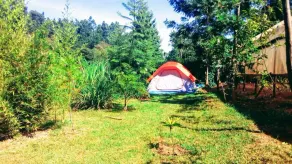 Mt. Kenya Riverside Retreat - Image 2