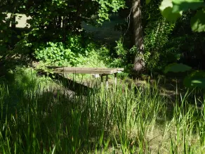 vacanza tranquilla con vista lago, parco e margini del bosco - Image 4