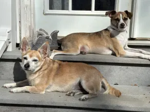 Cozy Private Guest House near Neuse River in Raleigh, Pet-Friendly! Premier Host - Image 2