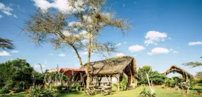 Ekorian's Mugie Camp - Image 4