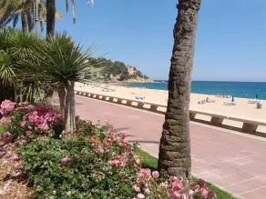 MANUELA BEACH CITY-lejlighed, 2. Beach front, center, luft, WiFi, parkering - Image 5