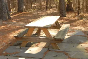 Authentic Log Cabin, Secluded Site on the Ausable River - Image 5