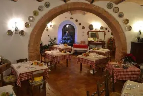 Organic Farm in der Gegend von Siena - Image 2