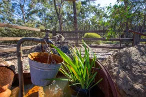 Le studio sous l'eucalyptus. - Image 5