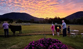 Fig Tree Farm B&B Highvale-Farmstay near Brisbane! - Image 3