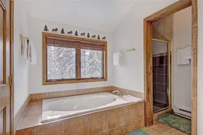 2542 Boreas Pass Private Home with Hot Tub - Image 4