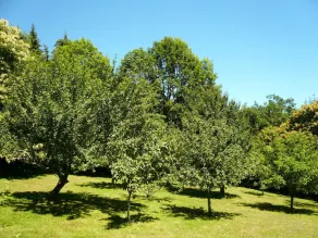 The country caravan, a paradise for nature lovers - Image 5