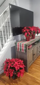Heavenly Home in New Haven - Image 2