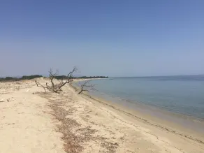 NY VILLA I HAVS EJENDOM, strand og butikker 1,2 km, kæledyr tilladt - Image 4