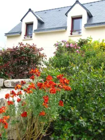 Ker Marinehus *** med privat have i Baden Morbihan-bugten - Image 5
